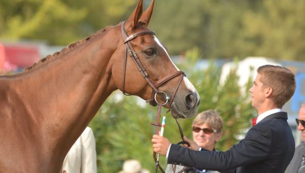 Alexis Goury : l’or et le bronze à Montelibretti !