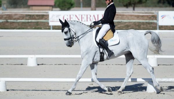 Lamotte : la bataille finale a commencé !