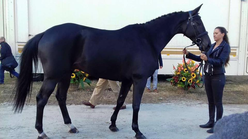 Boekelo J1 : Débrief avec Gwendolen Fer