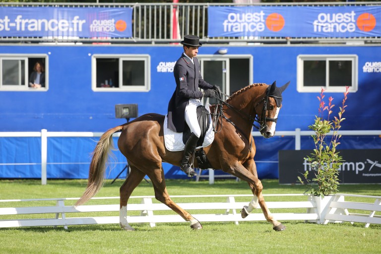 Mondial du Lion J1 : 4 Français dans le top 10 des 7 ans