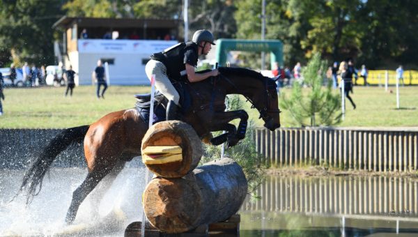 Tartas : Vertigo gagne le Criterium des 7 ans !