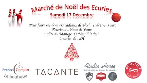 Petit marché de Noël Equestre !