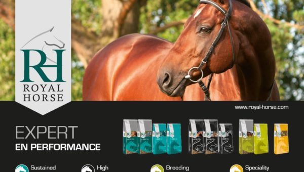 Les conseils de Royal Horse pour bien nourrir vos chevaux