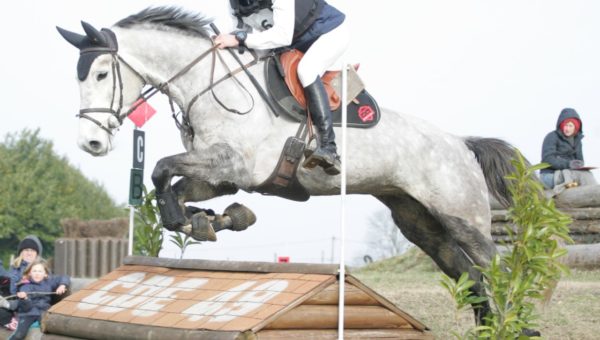 Athena de Kerguelen : meilleur 7 ans Amateur à Saint Mars