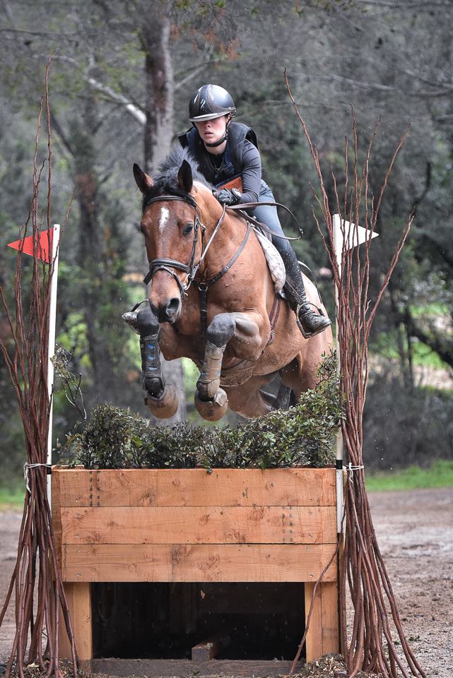 Et dans le Sud à Cornillon : premier prix du meilleur 7 ans Amateur !