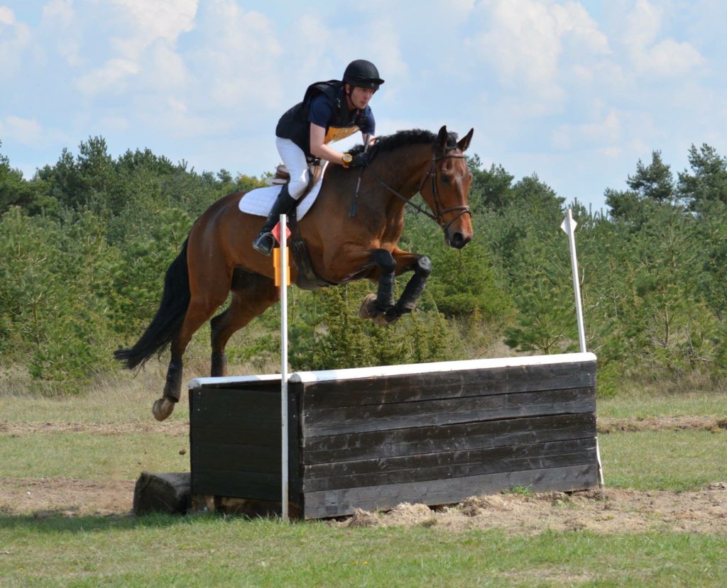 Brazey : 2 prix du meilleur 7 ans Amateur