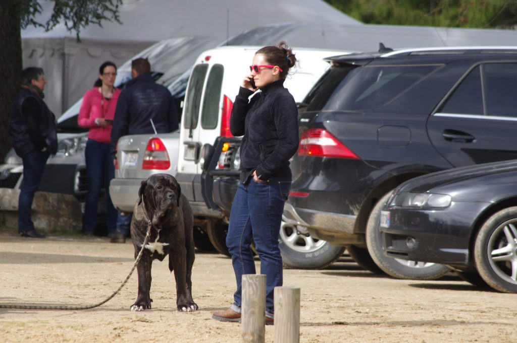 Laure Sallefranque, organisatrice du GN de Pompadour