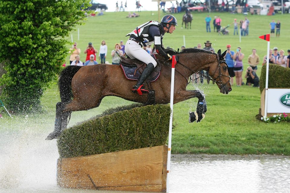 Burghley : des nouvelles de Qualao