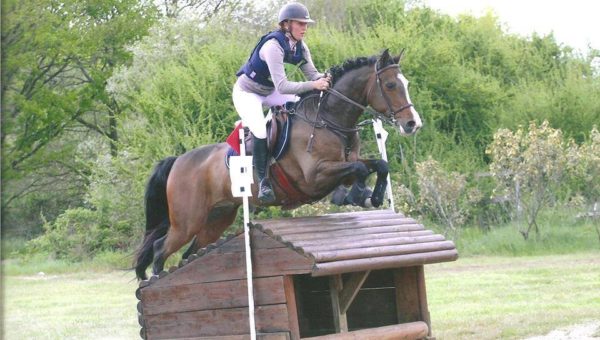 Askan, meilleur 7 ans Amateur à Sandillon