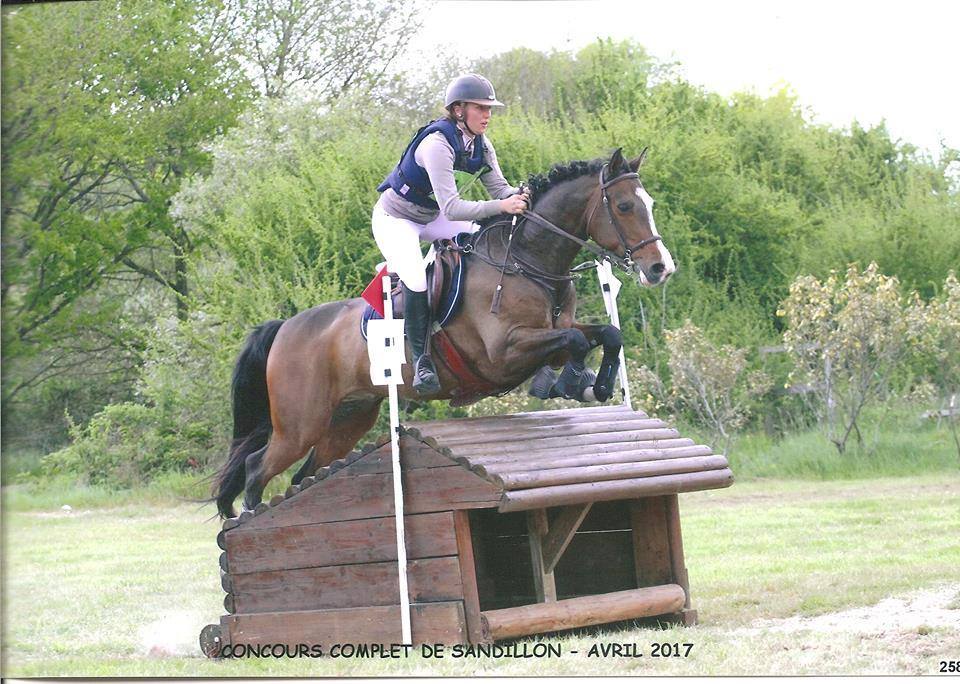 Askan, meilleur 7 ans Amateur à Sandillon