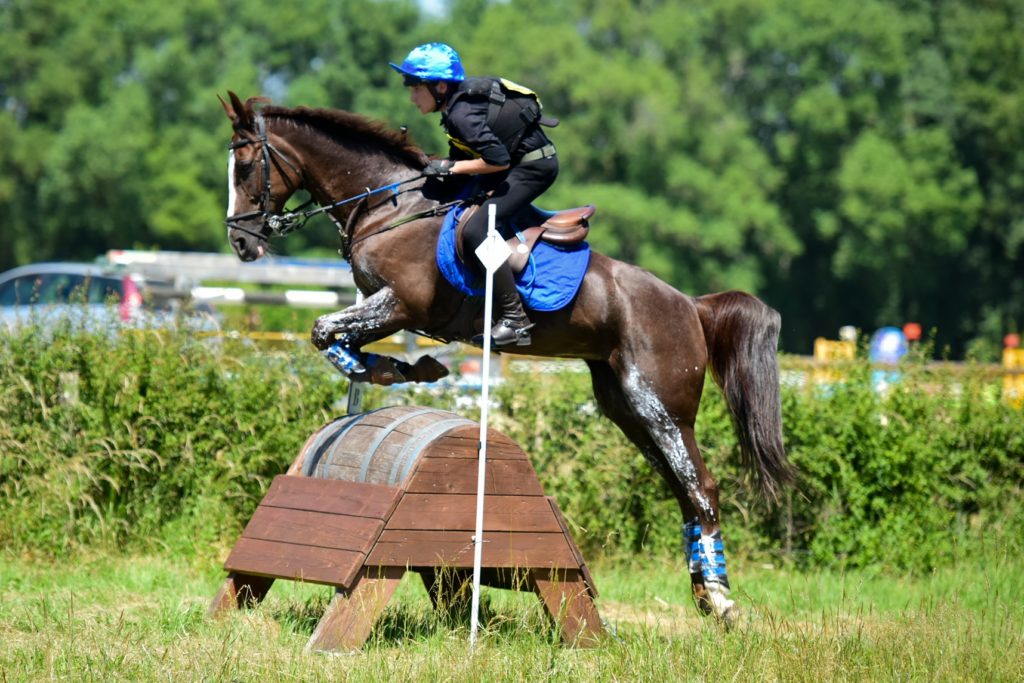 Mettray : dernière TDA de l’année pour les poneys