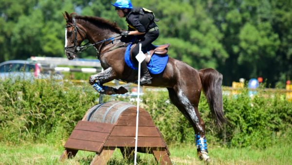 Mettray : dernière TDA de l’année pour les poneys