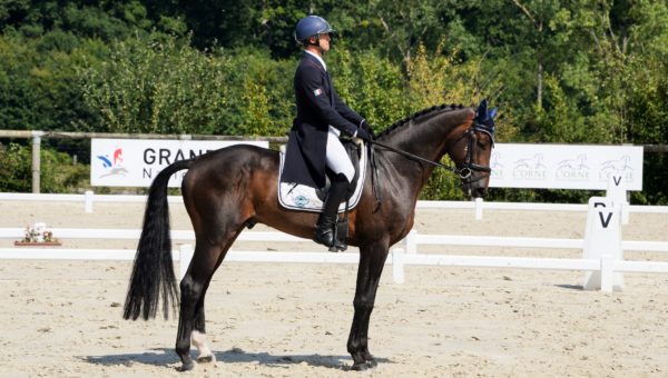 Le Pin : l’écurie Antarès / Horsealot commence fort !