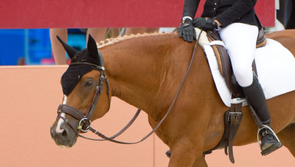 CH-EU Poney Kaposvar : 2ème au dressage