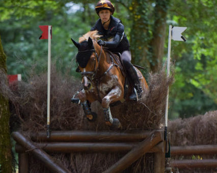 Lamotte-Beuvron : magnifique clap de fin pour Liloi et Voltair !