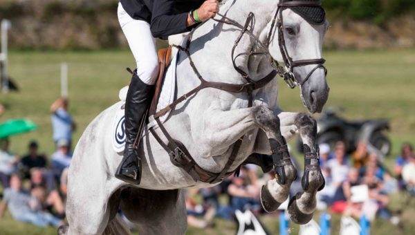 Haras du Pin : Tim Price, vainqueur du CCI3*