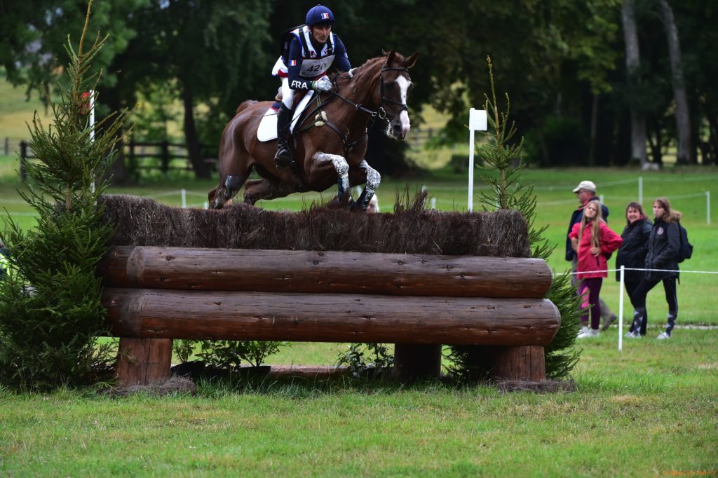 Haras du Pin : la France toujours en tête !