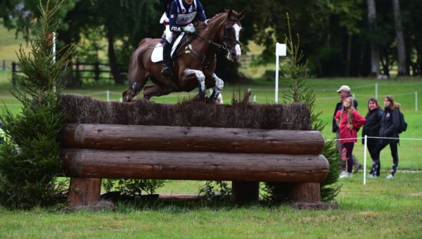 Haras du Pin : la France toujours en tête !