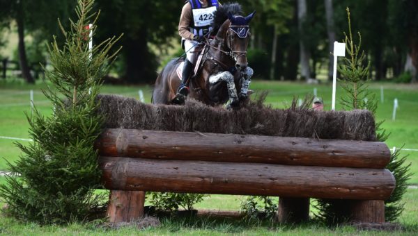 Haras du Pin : commentaires de l’équipe
