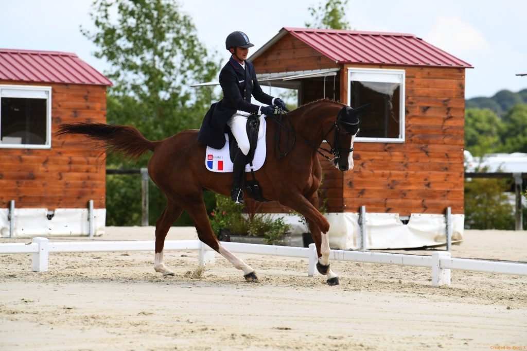 Haras du Pin : l’équipe de France prend de l’avance…