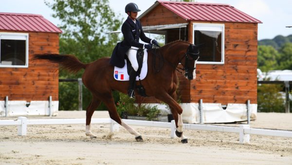 Haras du Pin : l’équipe de France prend de l’avance…