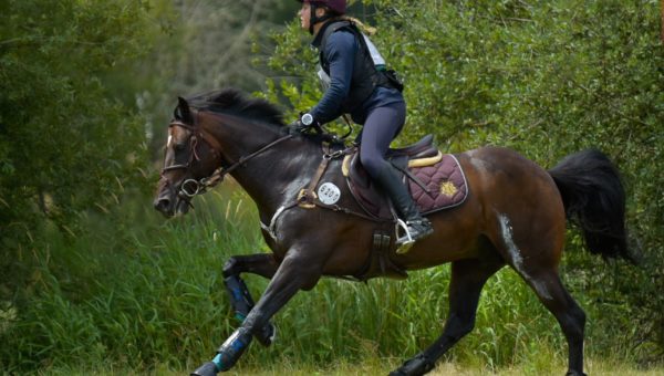 Lisa Gualtieri s’impose à Fontainebleau