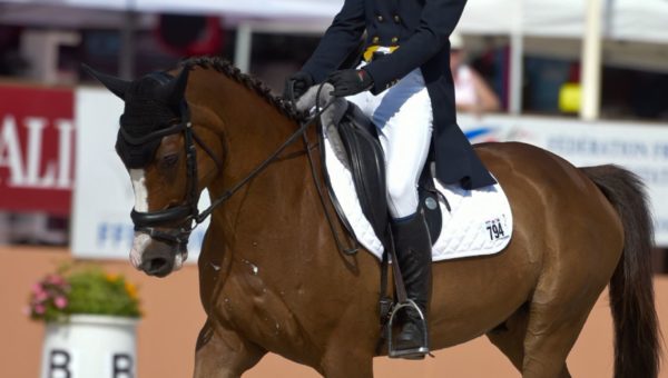 Portrait de Champions : Alban Moullière et Olympe des Bois