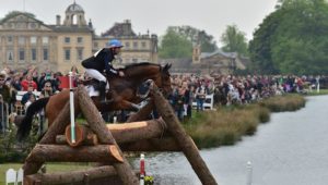 Matelot du Grand Val s’en est allé : hommage à un grand cheval du complet français