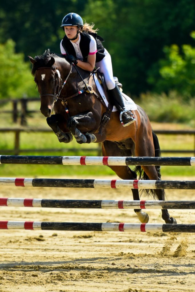 Portrait de Champions : Lisa Gualtieri et O Ma Doué Kersidal