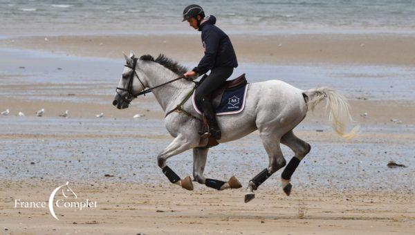 Dernier galop avant Strzegom / ITW des cavaliers