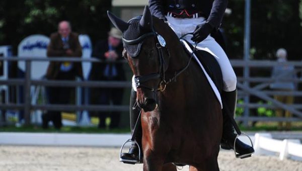 Waregem J2 : Maxime Livio dans le top 10 du dressage