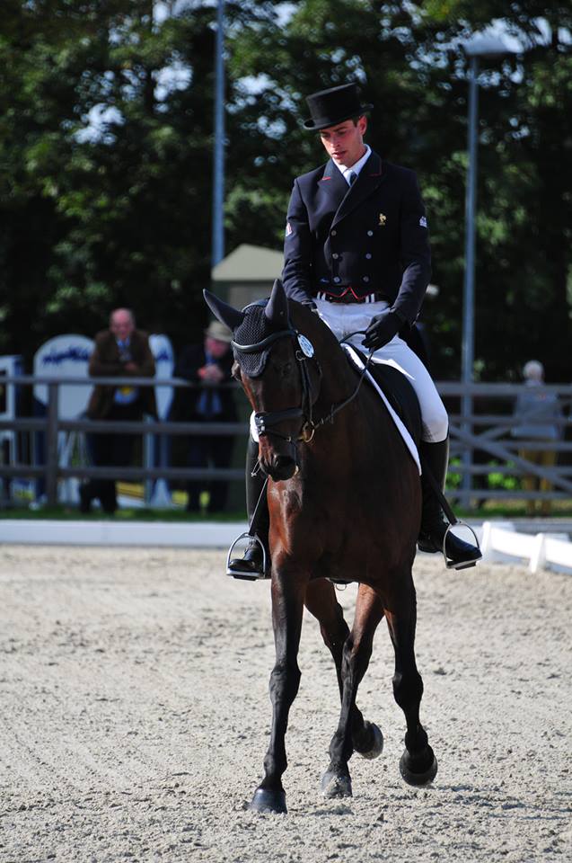 Waregem J2 : Maxime Livio dans le top 10 du dressage