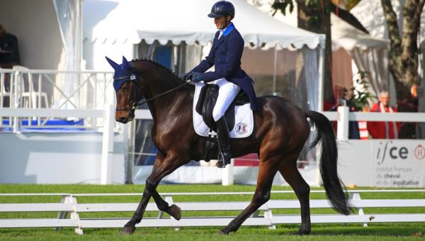 Mondial du Lion J2 : Aktion, 2ème du dressage