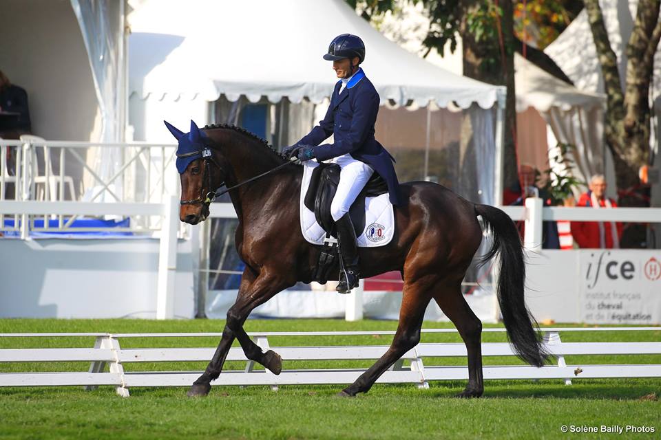 Mondial du Lion J2 : Aktion, 2ème du dressage