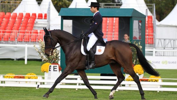 Mondial du Lion : De belles reprises pour ce premier jour