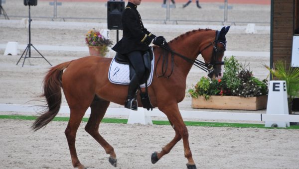 Boekelo J1 : la France 4ème