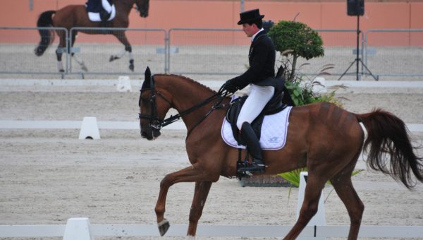 Boekelo : 2ème jour, la France remonte !