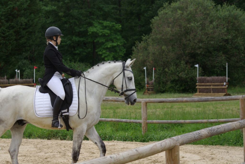 Trouver le relâchement en dressage (Carnet de bord de préparation mentale)