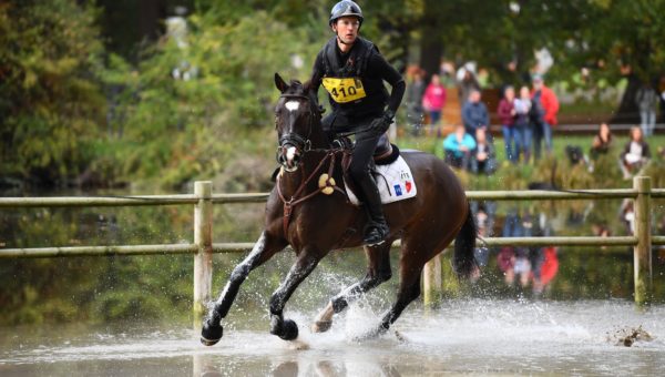 Le premier gué avec un jeune cheval