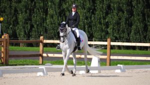 Waregem J1 : premiers dressage et reco cross