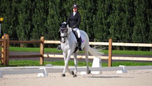 Waregem J1 : premiers dressage et reco cross