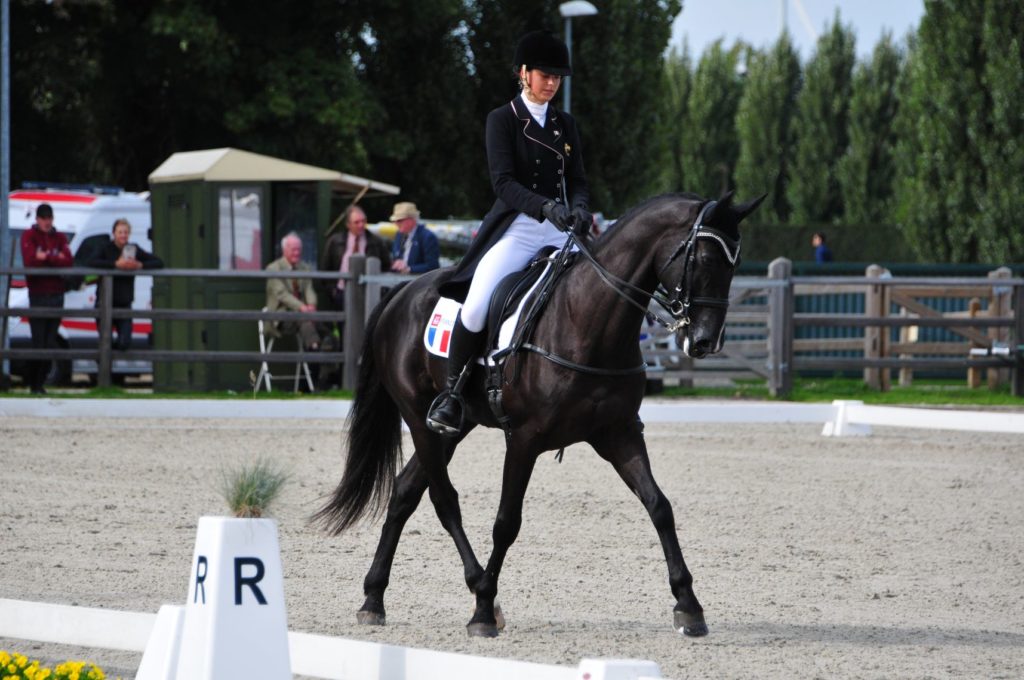 Le Pouget : Fin du dressage au Domaine Equestre des Trois Fontaines pour le CIC3*