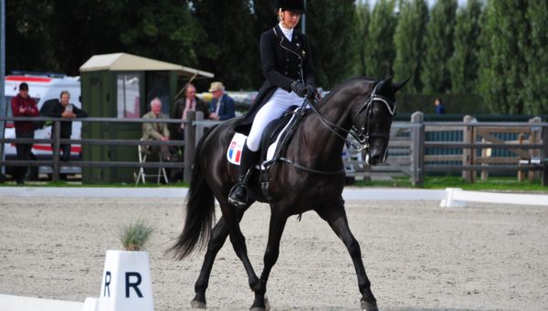 Le Pouget : Fin du dressage au Domaine Equestre des Trois Fontaines pour le CIC3*