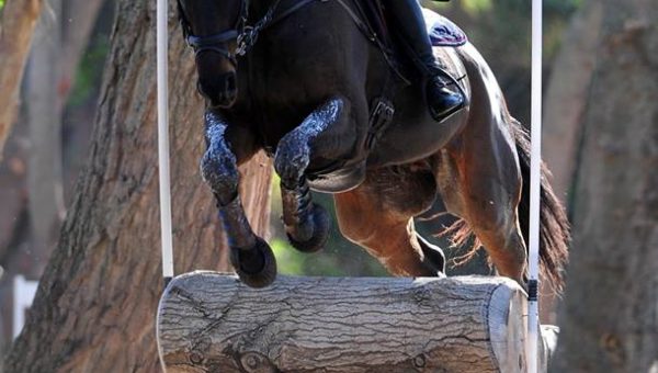 1ere Manche du Grand Régional d’Occitanie au Pouget