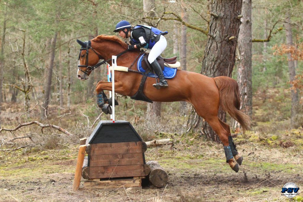 Lucille Ribicki et Gymphonie s’offre le prix du meilleur 7 ans « amateur »