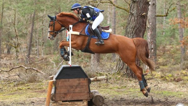 Lucille Ribicki et Gymphonie s’offre le prix du meilleur 7 ans « amateur »