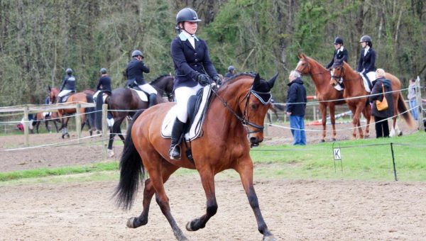 Laura Monod Cotte et Bolero de Tuilière se distinguent à Vernoil pour le Prix du meilleur 7 ans « amateur ».