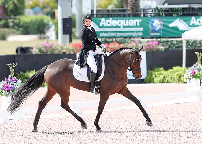 CCI5* de Lexington-Kentucky : premier jour de dressage et un record battu