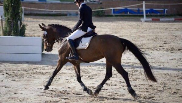 Carisma Mail*Eygalières, une 6 ans prometteuse