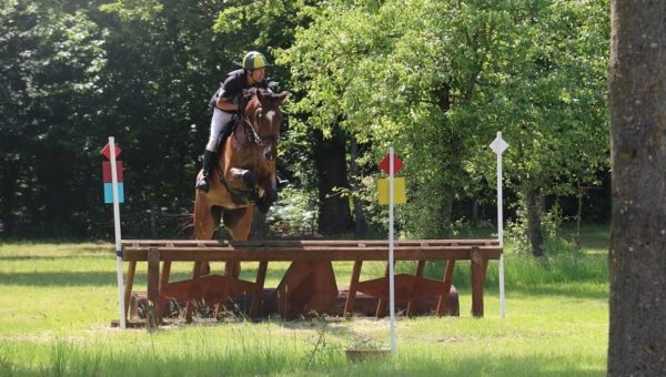 Casanova du Frety, un « cheval très régulier dans ses prestations »